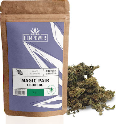 Hempower Magic Pair Hemp Flower with 68% CBD & 25% CBG 4gr