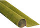 Noch Plant Mockup