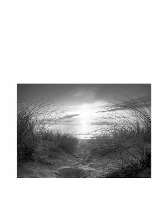 Fototapet de Perete 150x105cm Black White Tesatura Gri