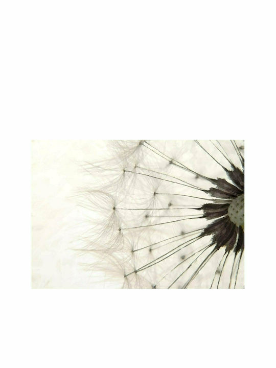 Fototapet de Perete 250x175cm White Dandelion Tesatura Albă