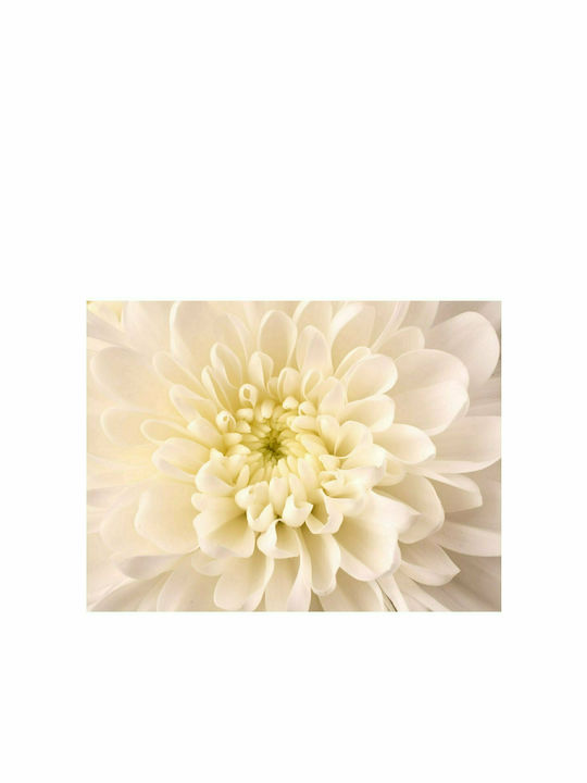 Fototapet de Perete 250x193cm White Dahlia Tesatura Albă