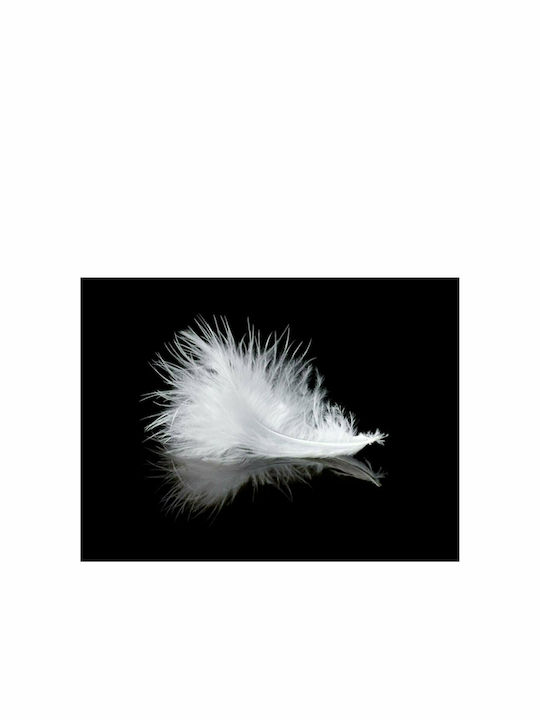 Fototapet de Perete 300x231cm White Feather Tesatura Neagră