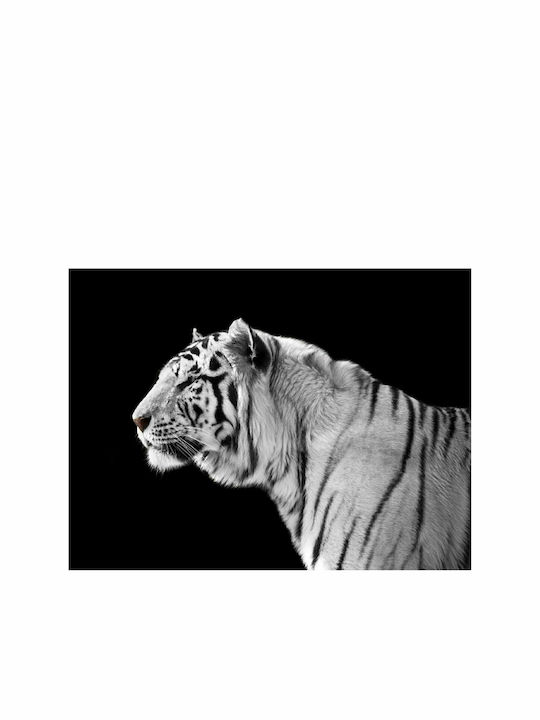 Fototapet de Perete 250x193cm White Tiger Tesatura Neagră