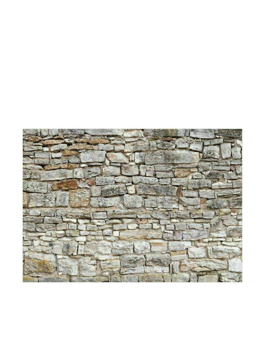 Autocolantă Fototapet de Perete 245x175cm Royal Wall Gri