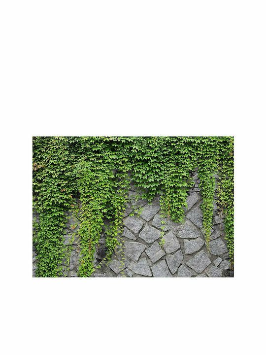 Fototapet de Perete 150x105cm Green Wall Tesatura Verde