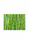 Fototapet de Perete 300x231cm Bamboo Wall Tesatura