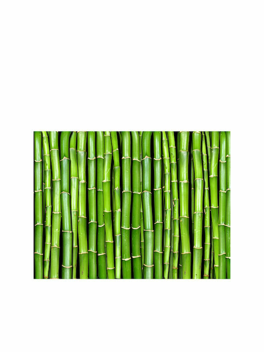 Fototapet de Perete 200x154cm Bamboo Wall Tesatura