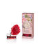 We Luv Aromas Дифузер с аромат Маракуя 807-0008 100мл
