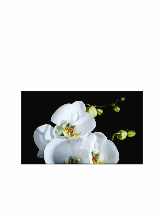 Fototapet de Perete 450x270cm Phalaenopsis Tesatura