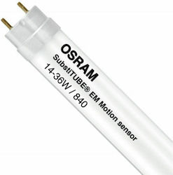Ledvance LED 19.3W G13 Φυσικό Λευκό