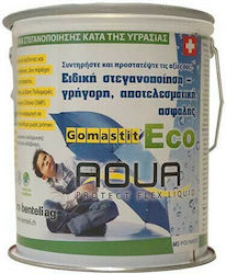 Gomastit Aqua Protect Flex Liquid Σφραγιστική Σιλικόνη Γκρι 1kg