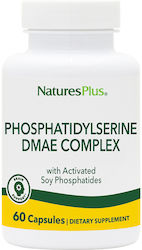 Nature's Plus Phosphatidylserine DMAE Complex with Activated Soy Phosphatides 60 κάψουλες