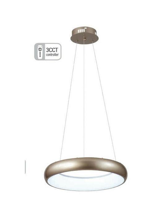 Inlight Pendant Light LED Suspension with Warm to Cool White Light Gold