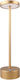 Darwin Dekorative Lampe Gold