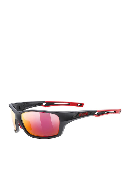 Uvex Sportstyle 232 P Γυαλιά Ηλίου Μαύρα με Κοκκάλινο Σκελετό Uvex Sportstyle 232 P Γυαλιά Ηλίου Μαύρα με Κοκκάλινο Σκελετό