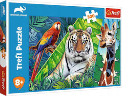 Kinderpuzzle für 8++ Jahre 300pcs Trefl