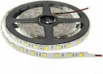 Vito LED Strip Power Supply 12V with Natural White Light Length 5m and 60 LEDs per Meter