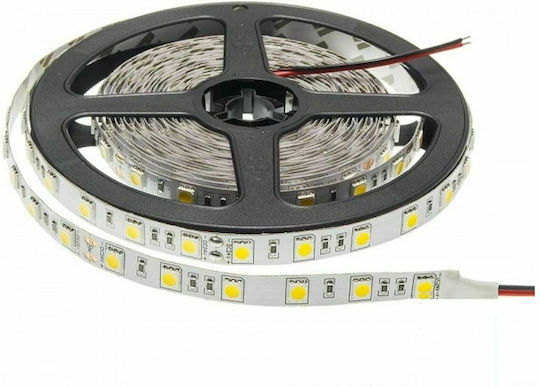 Vito LED Strip 12V Cold White Light 5m Type SMD5050