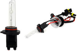 HB3 Xenon Car Lamp Cold White