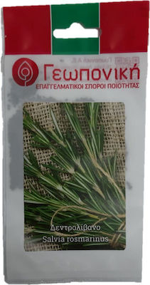 Geoponiki Salvia Rosmarinus Σπόροι Δενδρολίβανο 20gr