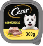 Cesar Nassfutter Hunde in Tablett mit Huhn 300gr