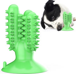 Pet Interest Cactus για Ούλα Pet Interest Cactus για Ούλα