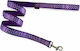 Pet Interest Dog Leash/Lead Strap Dots Small in...