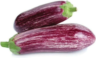 Geoponiki Τσακώνικη Seeds Aubergine 0.25gr