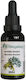 Biogalaxy Tinktur Tinktur Wermut 30ml