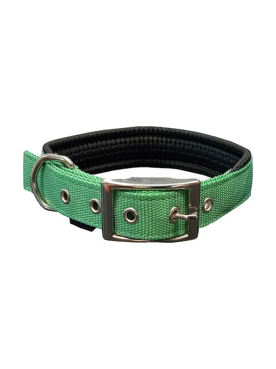 Pet Interest Neoprene Standard Dog Collar in Gr...