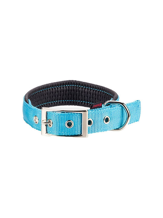Pet Interest Neoprene Standard Dog Collar Fluo ...