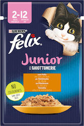 Felix Hrană Umedă 85gr Felix Hrană Umedă 85gr