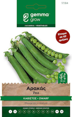 Gemma Καθιστός Seeds Peas Seated