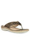 Parex Women's Flat Sandals Anatomic in Brown Color