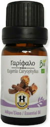 Herbstore Clove Biological Essential Oil Clove ...