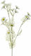 Iliadis Artificial Decorative Branch Daisy White 72cm 1pcs