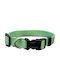 Pet Interest Plain Line Dog Collar Light Green Medium 20mm x 32 - 50cm 3105-M