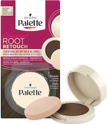 Palette Root Retouch
