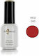 Angelacq Ημιμόνιμο Βερνίκι Νυχιών 045 Red 15ml