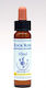 Healing Herbs Rock Rose Ανθοΐαμα σε Σταγόνες για Χαλάρωση 10ml