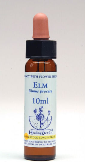 Healing Herbs Elm Ανθοΐαμα σε Σταγόνες 10ml