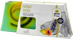 Laurus Nobilis Papaya 100gr Laurus Nobilis Papaya 100gr
