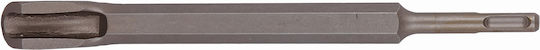 Raider Eine Handvoll mit Aufnahme SDS Plus 250x17mm