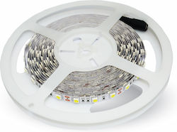 V-TAC Bandă LED Alimentare 24V cu Lumină Alb Rece Lungime 5m și 60 LED-uri pe Metru SMD5050