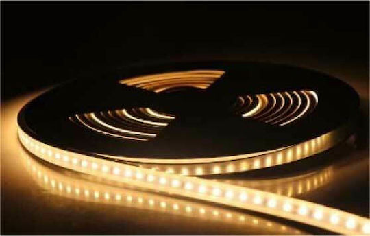 Universe Αδιάβροχη Ταινία LED 24V Ψυχρό Λευκό Φως 5m Neon Flex