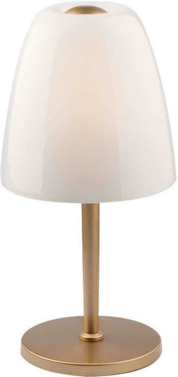 Fan Europe Ares Glass Table Lamp for E14 Socket with White Shade and Gold Base