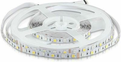 V-TAC Bandă LED Alimentare 12V RGBW Lungime 5m și 60 LED-uri pe Metru SMD5050