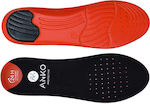 Anatomic Insoles