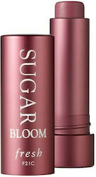 Fresh Sugar Tinted Lip Balm 4.3gr Fresh Sugar Tinted Lip Balm 4.3gr