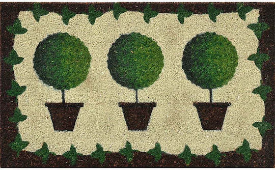 Verdemax Covoare De Intrare Bej 45x75cm 5463 Bej